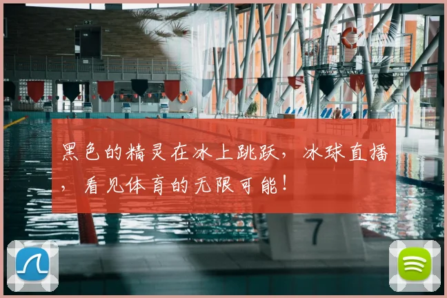 黑色的精灵在冰上跳跃,冰球直播,看见体育的无限可能!