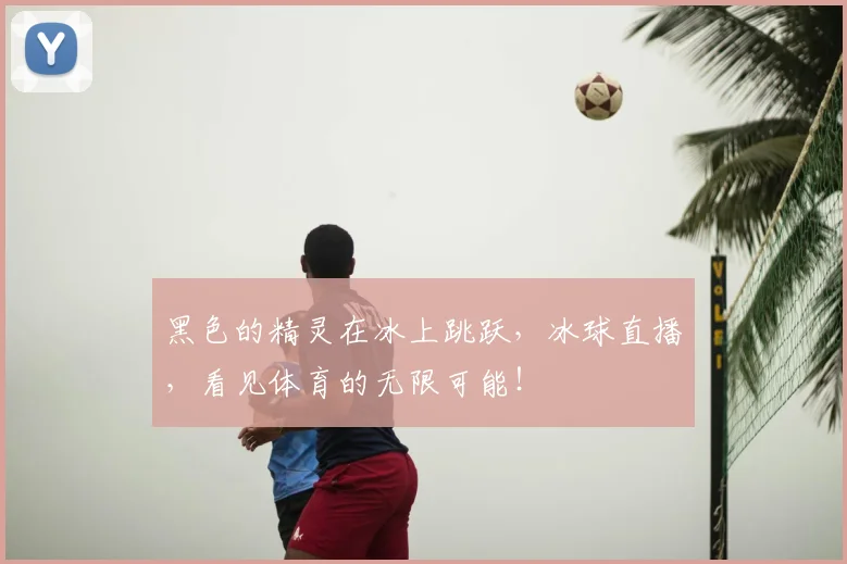 黑色的精灵在冰上跳跃，冰球直播，看见体育的无限可能！